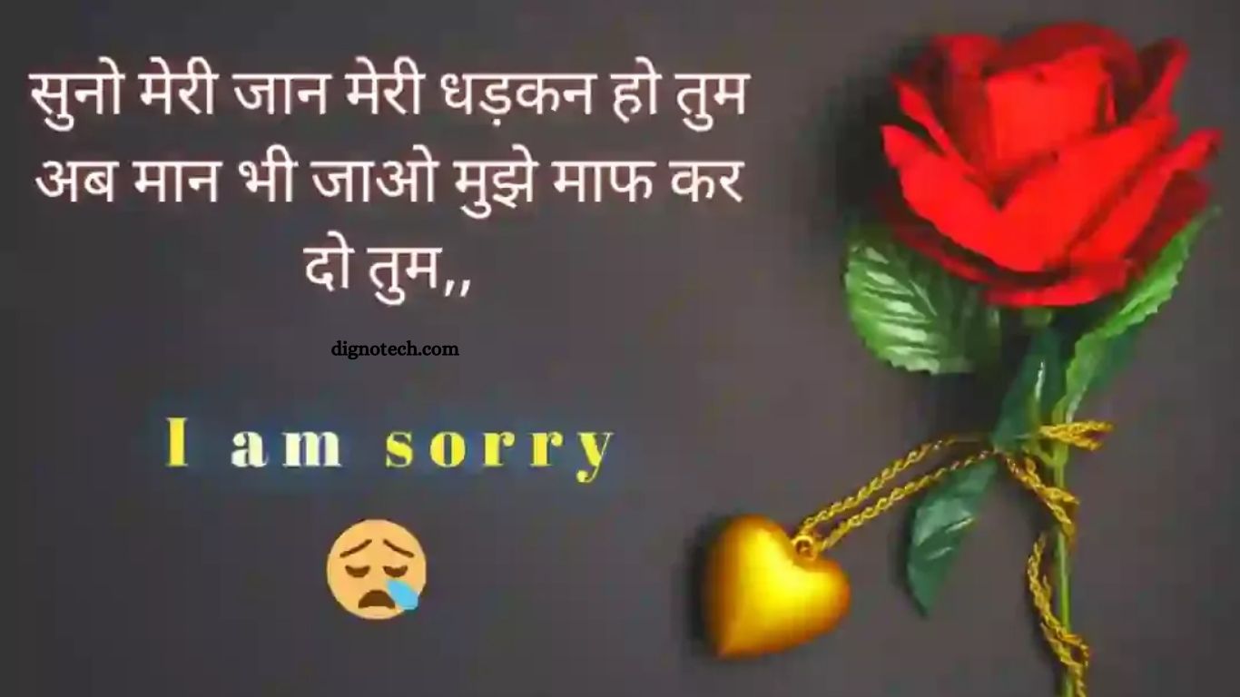 Sorry Shayari,