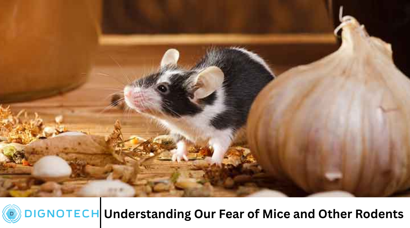 Understanding Our Fear of Mice and Other Rodents