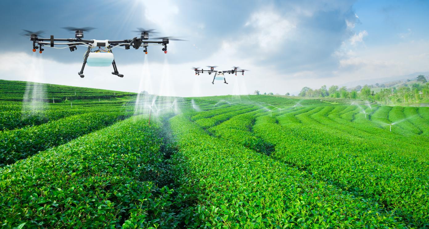 Comprehensive Farm Drone Services